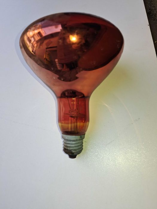 Czerwona żarówka lecznicza 100 W na bolące stawy, Żarówka kwoka