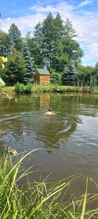 Domek nad samą rzeczką i stawem z sauną i jacuzzi