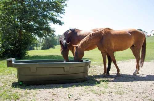 Poidło pastwiskowe, 550 L i 1000 L, Kerbl