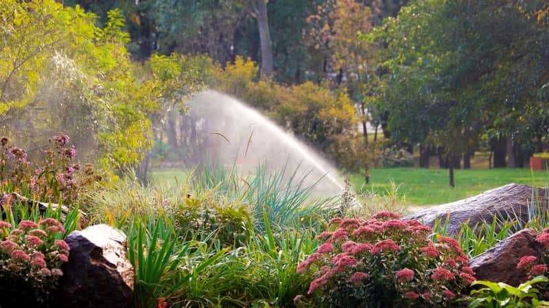 Automatyczne Nawadnianie RainBird Hunter zakładanie Ogrodów Trawniki