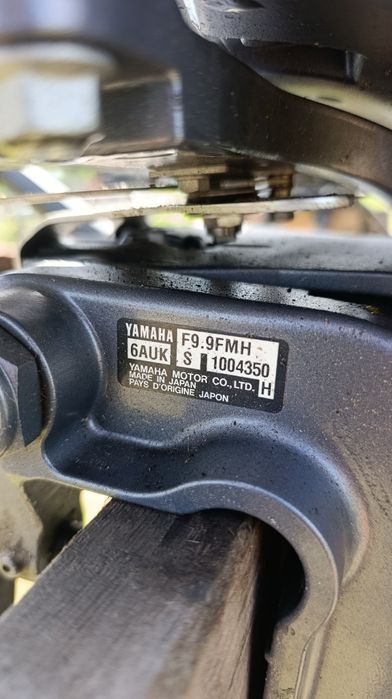 Silnik zaburtowy Yamaha 9.9