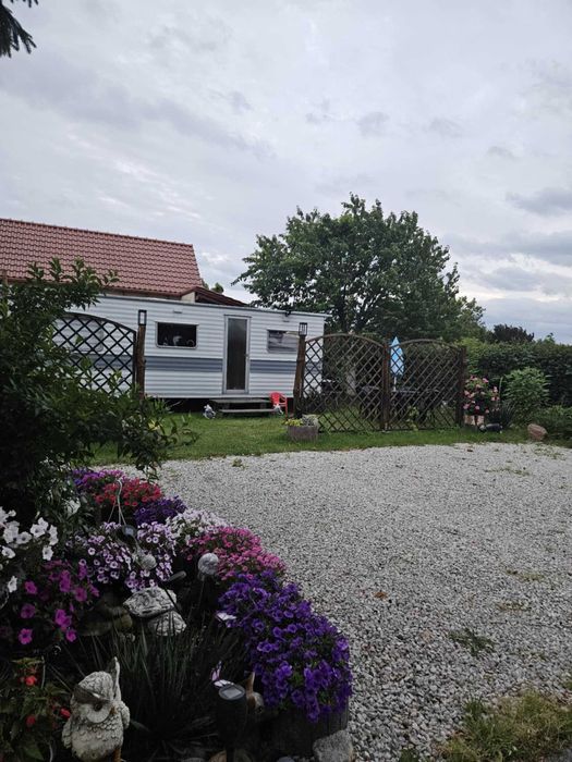 Domek  holenderski wynajem