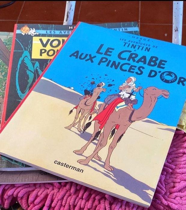 Banda desenhada Tintim 2000