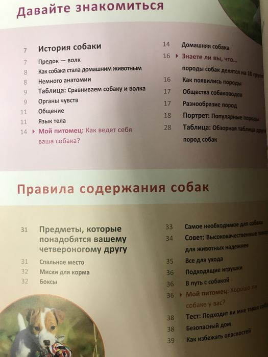 Моя собака