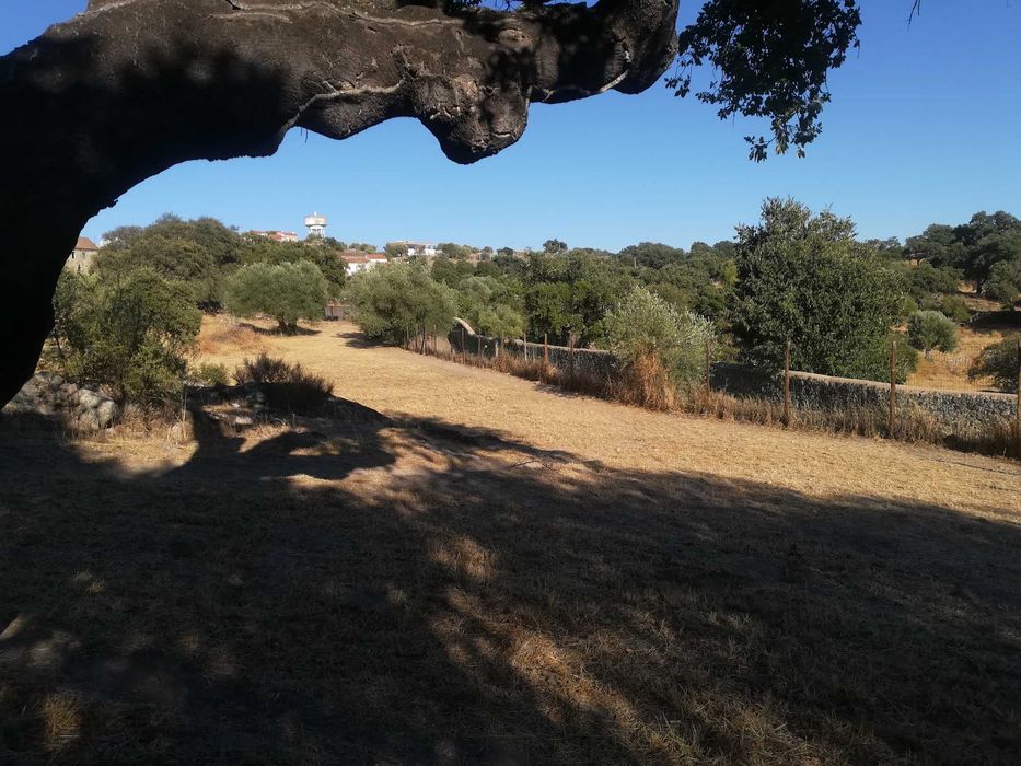 Casa de campo T3 em terreno de 6.640 m² — construída em 2004, pronta para mudança — Salvaterra do Extremo
