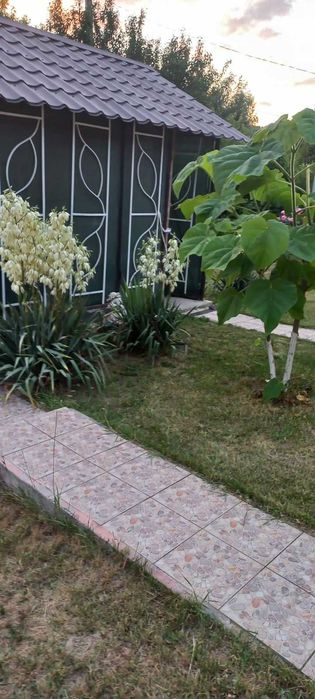 Продам будинок Київська область с. Мисайлівка,річка Рось
