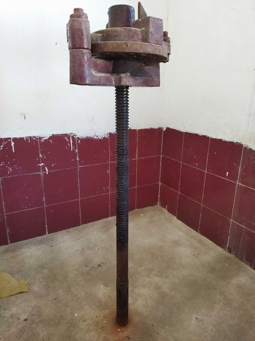 Prensa Lagar Vinho