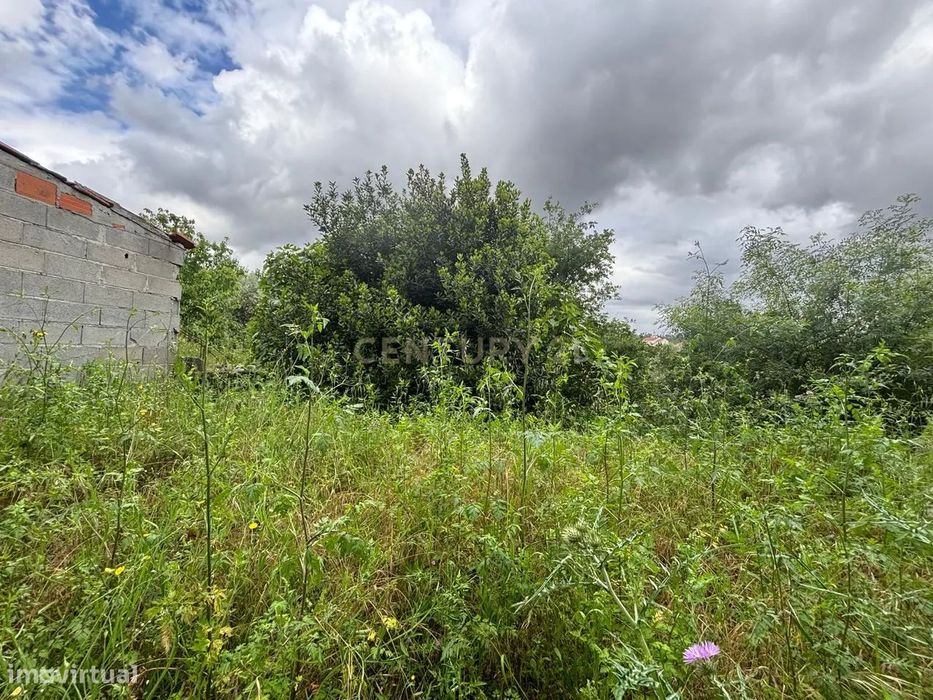 Propriedade com viabilidade construtiva - Soure