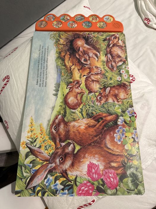 Ksiazeczka wydajaca dzwieki zwierzat