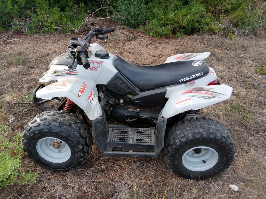 Mini mota 4  Polaris