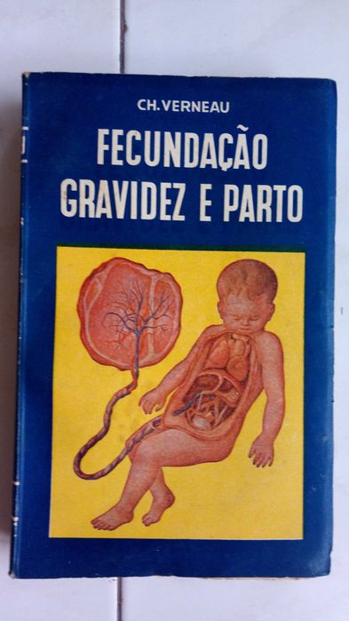 Fecundação, gravidez e parto