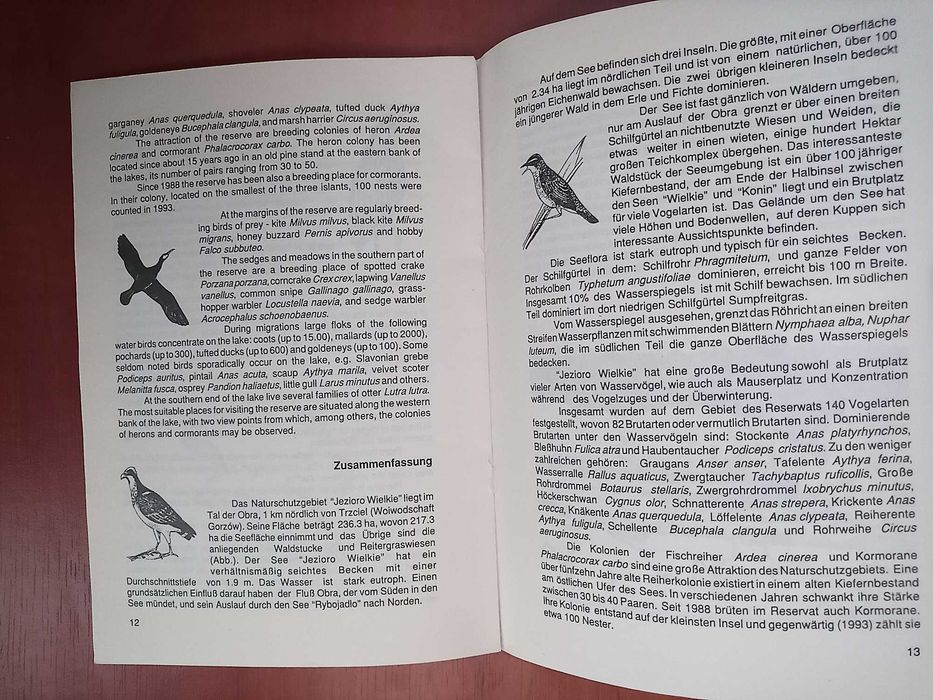 Rezerwat "Jezioro Wielkie"     Andrzej Jermaczek, Włodzimierz Rudawski