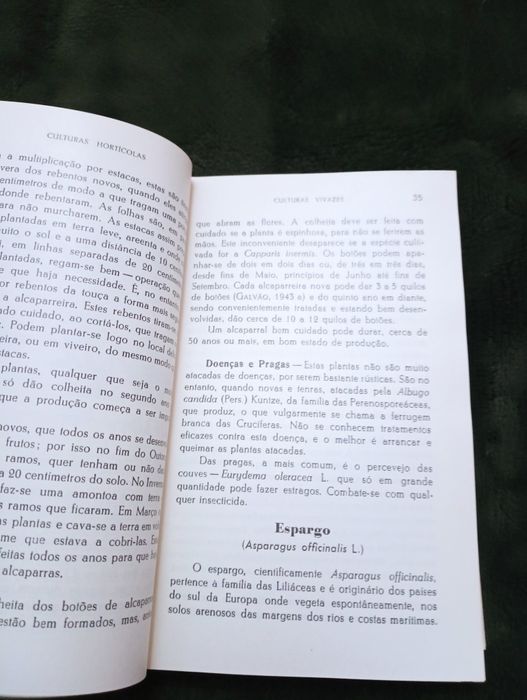 Culturas hortícolas – Alberto Gardé / Nydia Gardé	- 1971*