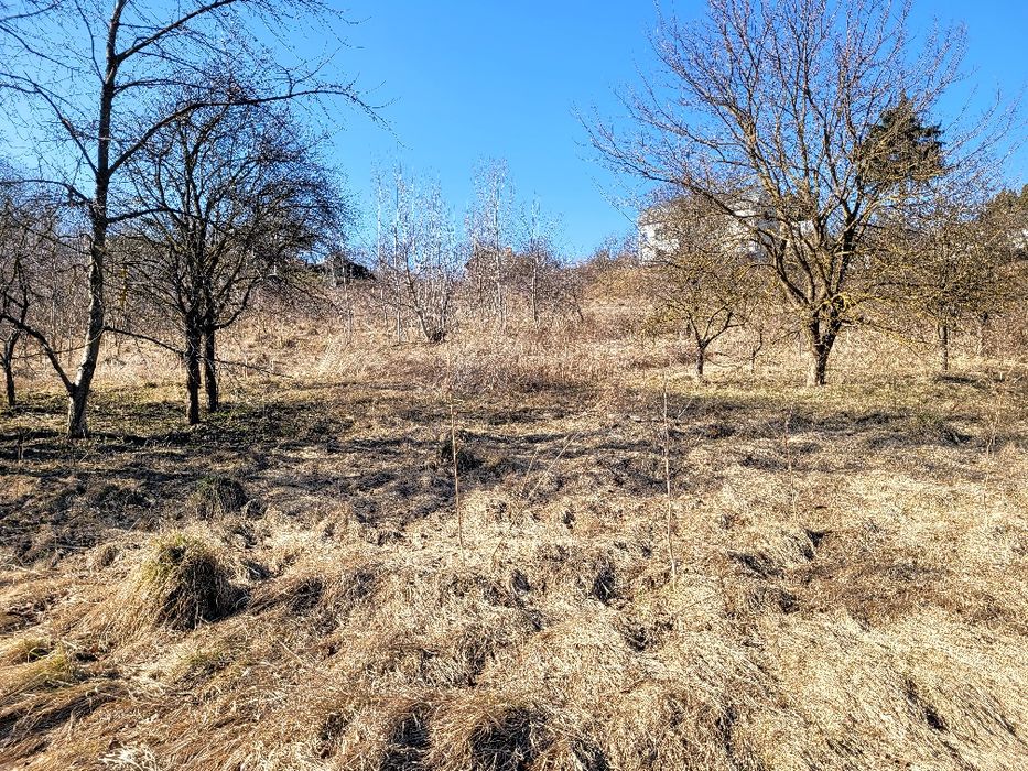 Продаж землі в Кутківцях, 22 сотки під забудову - Widok 5