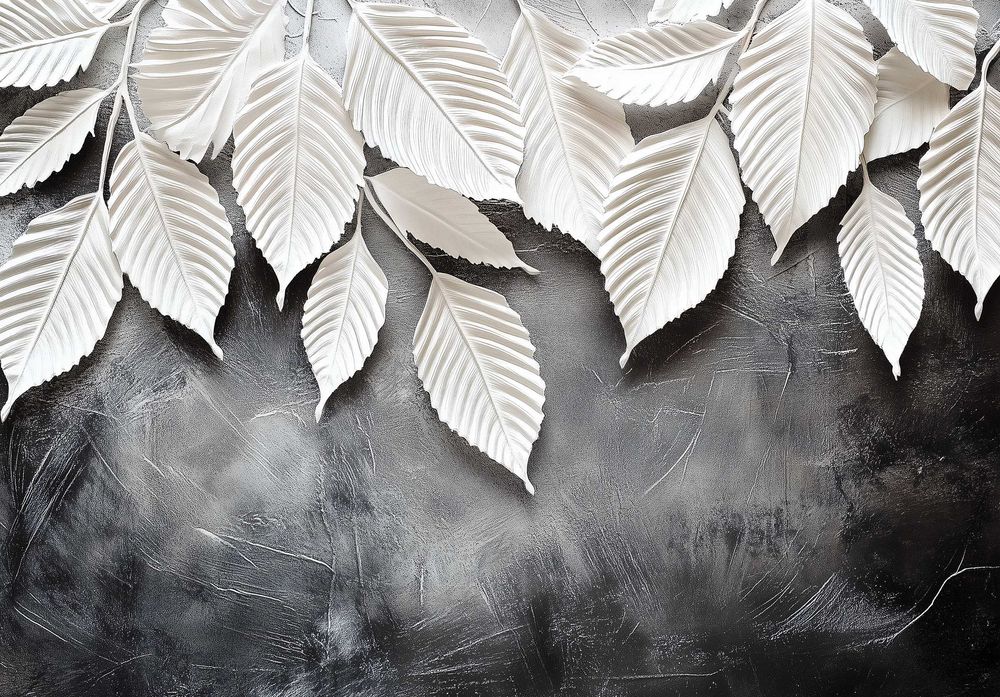 Fototapeta Białe Kremowe Liście Ciemna Szarości Beton Mur 3D + KLEJ