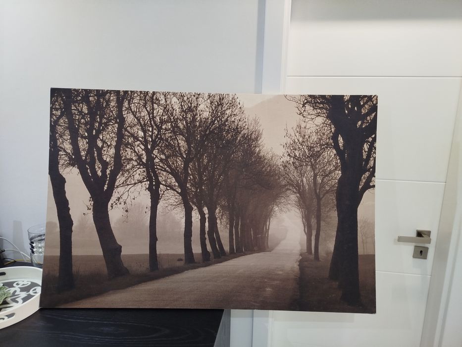 Quadro 108 x 78 combinação com outros móveis a venda