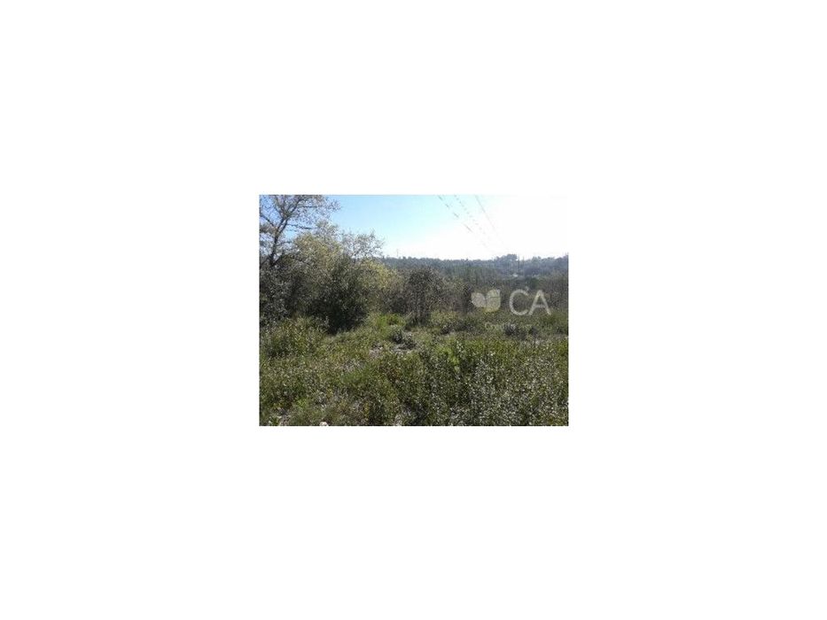 Terreno Rústico - Tomar
