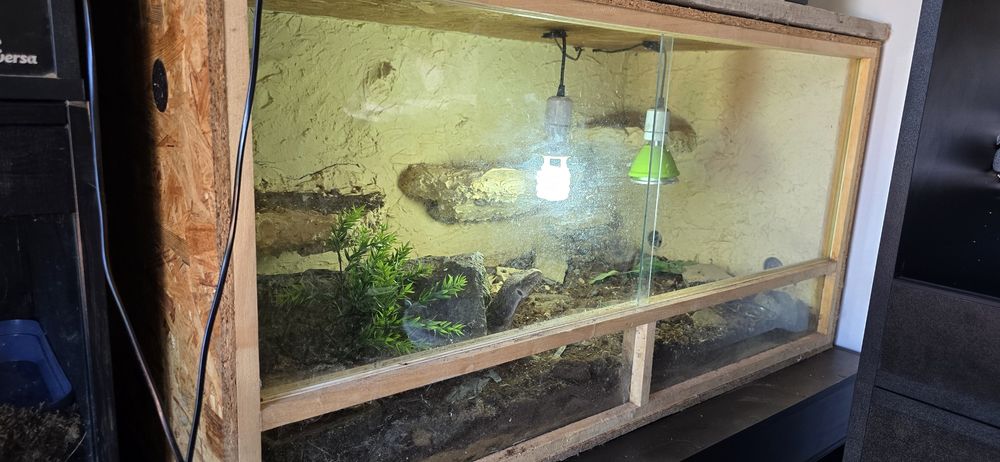 Terrarium 120x60x60