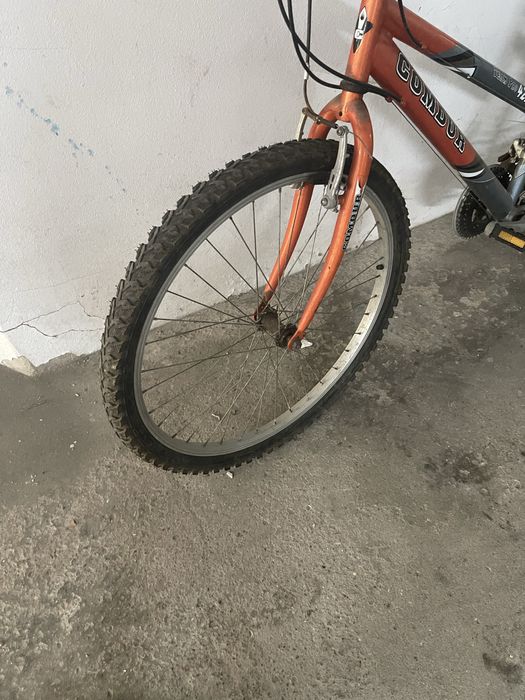 Bicicleta adulto