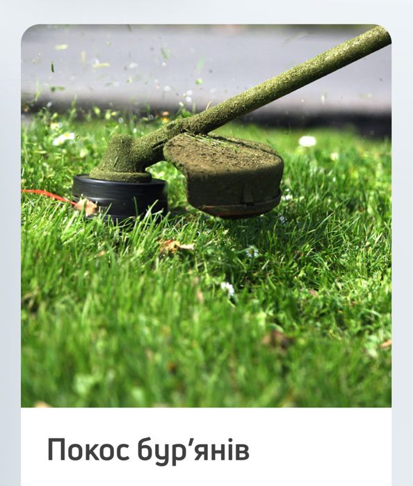 Покос бурʼянів, стрижка газонів Біла Церква