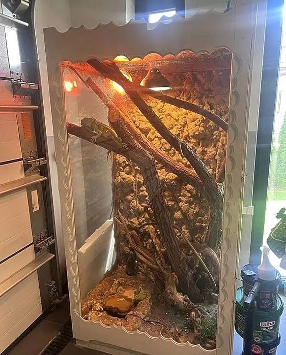 Terrarium dla gada np legwana  czy weza