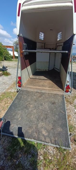 Atrelado 1 cavalo casa arreios matrícula portuguesa