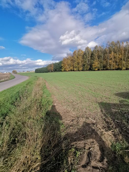 Działka budowlana 348/5 Bryszki gm. Rozprza warunki zabud. wo