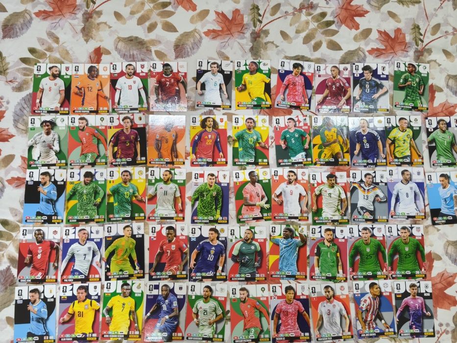 Cards da Panini Oficial