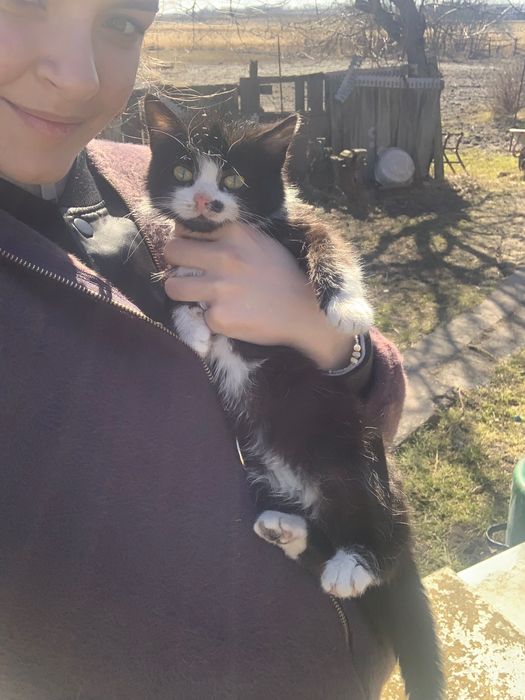 Гарний котик з особливою родимкою