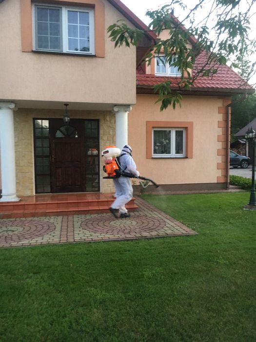 Ozonowanie Pranie tapicerki Czyszczenie Dezynfekcja Odkomarzanie