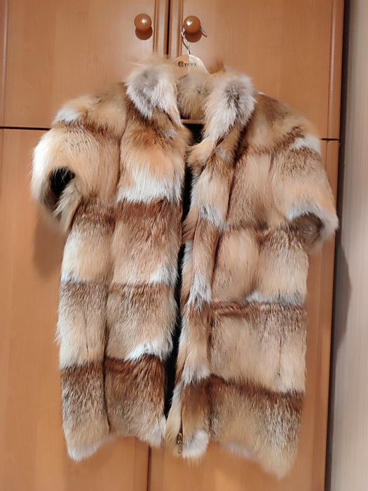 Желеика меховая с листцы