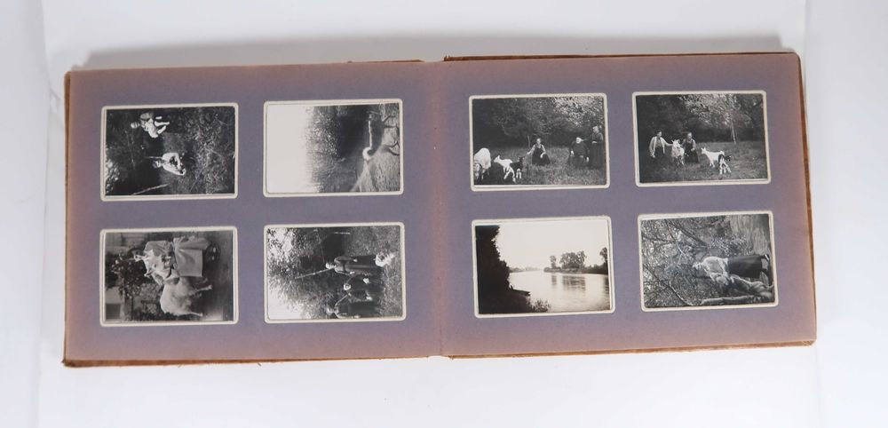 Conjunto de 250 fotografias antigas