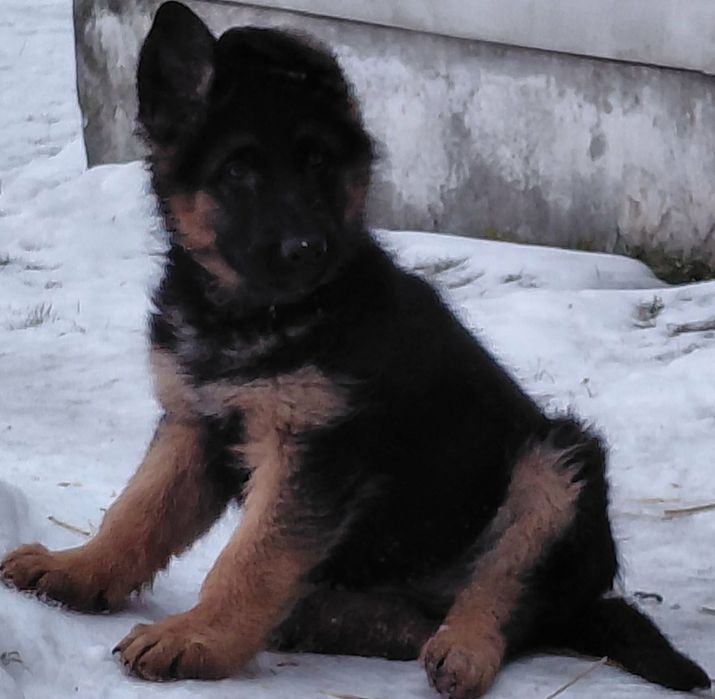 Чудові хлопці та дівчата