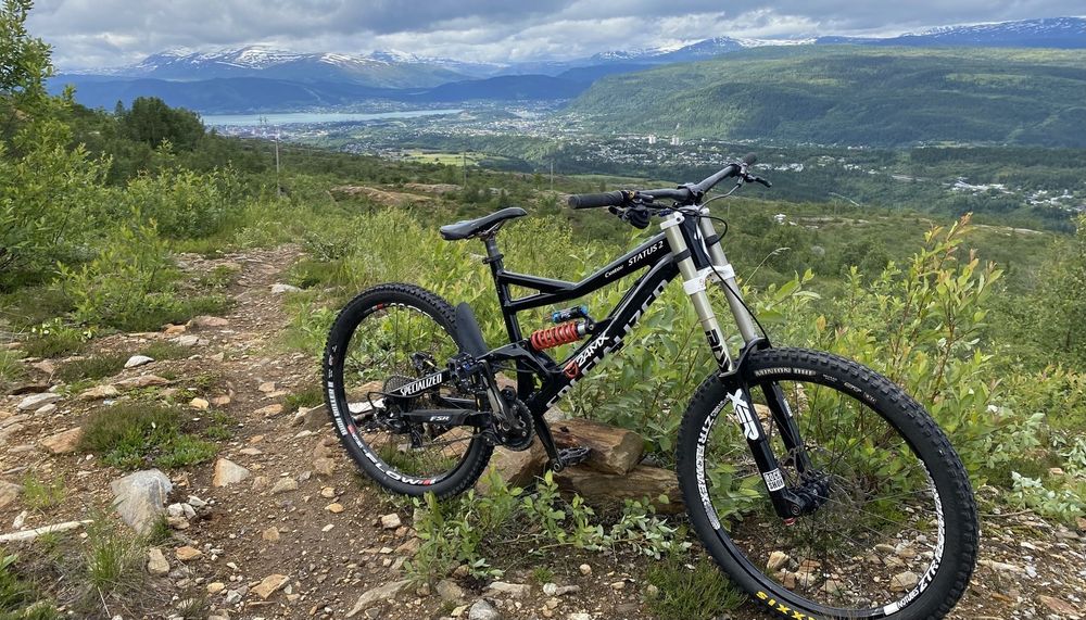Specialized STATUS