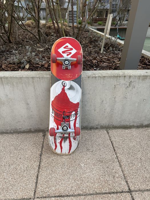 Skateboard Street Surfing