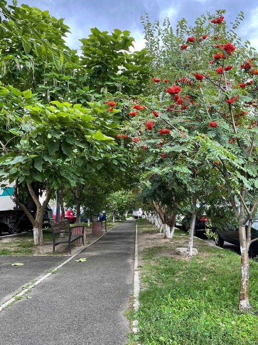 Смарт квартира 23м2 з документами, можна на ремонт!