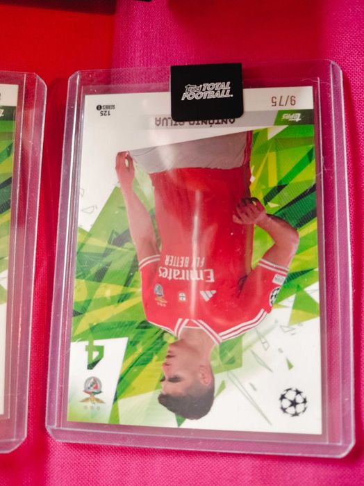 Cards António Silva Benfica