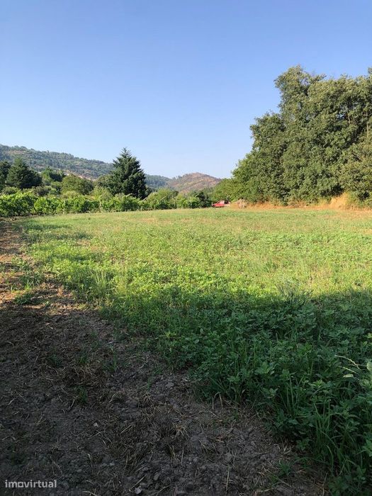 Excelente Quinta na Beira Alta com cerca de 2 Hectares