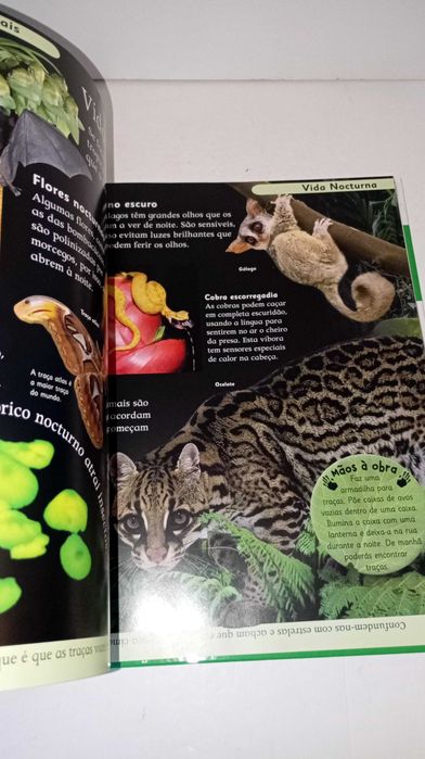 Primeira Enciclopédia da Natureza