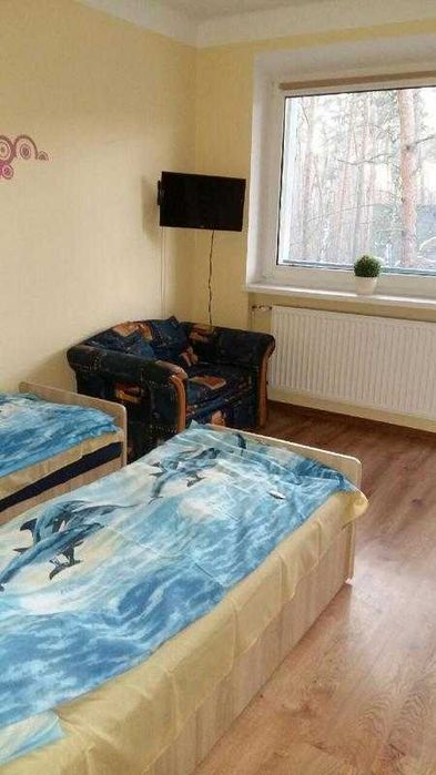 Zdjęcie 6