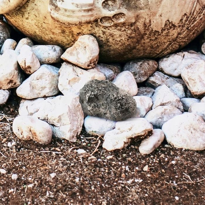 Pojemnik Kamień Schowek Skrytka Sejf Susz Pieniądze Cbd Tabletki