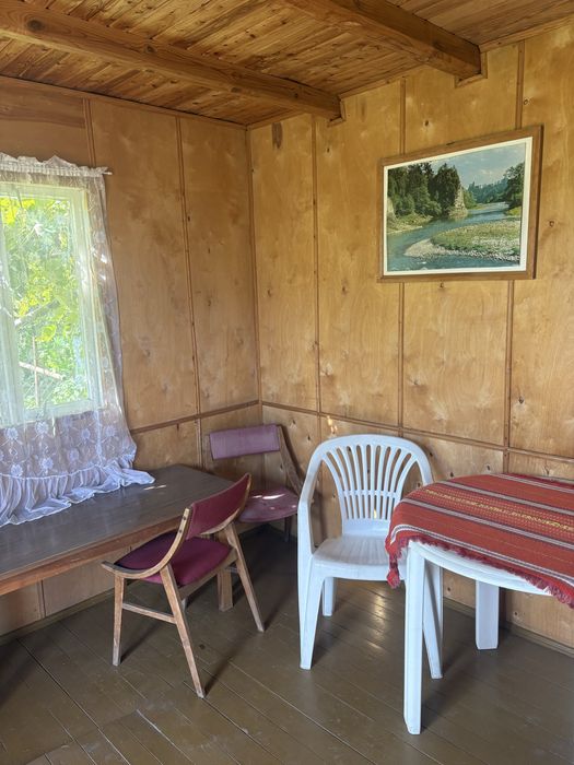 Działka ROD „AWF” Biała Podlaska przy Sworskiej - Widok 5