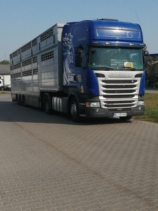 Naczepa Pezzaioli + SCANIA R450      do bydła, żywca, zwierzat