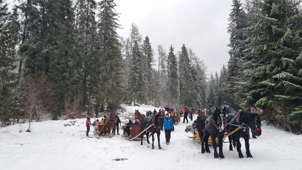 Domek na Sylwestra w górach