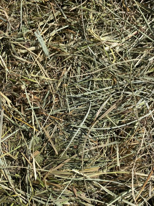 Сено для грызунов. Палочки фруктовых деревьев и кустов.