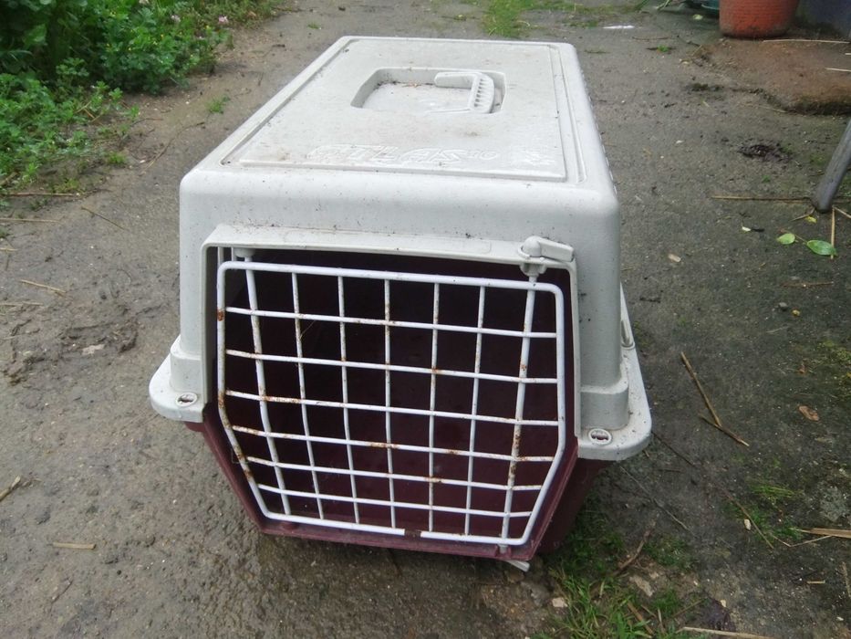 Caixa transportadora