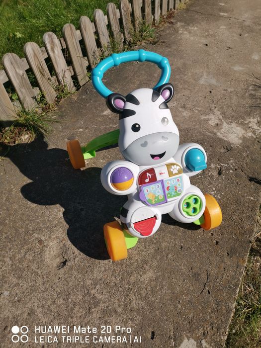 Pchacz zebra stan dobry