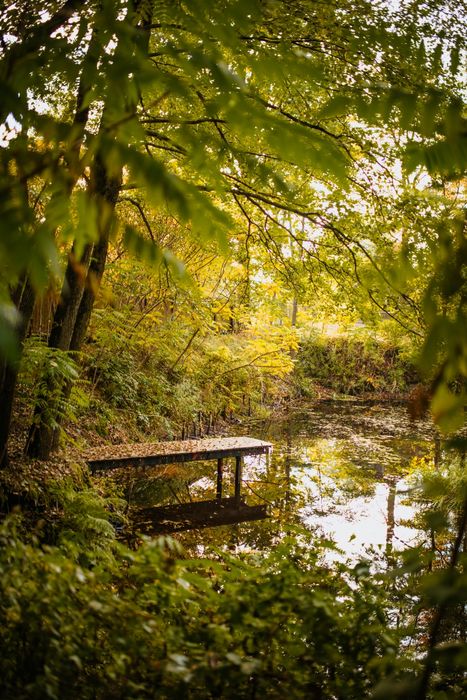 Ostoja Rakówiec - Wakacje, Dom 140m2, Jaccuzi, Sauna, Ognisko, 17000m2