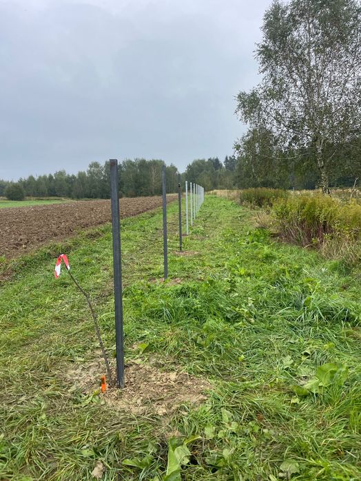 Ogrodzenie panelowe, z siatki, z siatki leśnej.