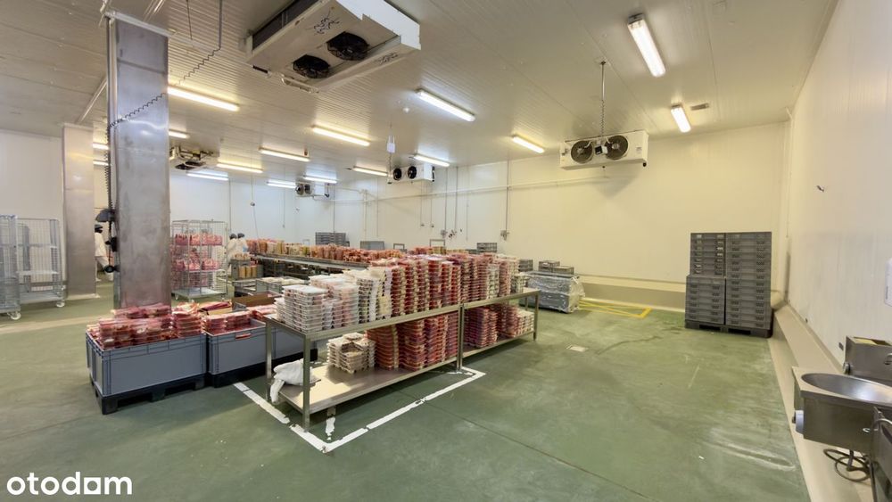 Hala 1273 m² z CHŁODNIĄ | 2 Rampy | HACCP | Parking TIR/BUS | A4/S1